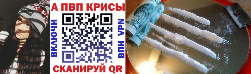 APVP СК  Иваново 