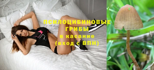 прущие крисы Абинск