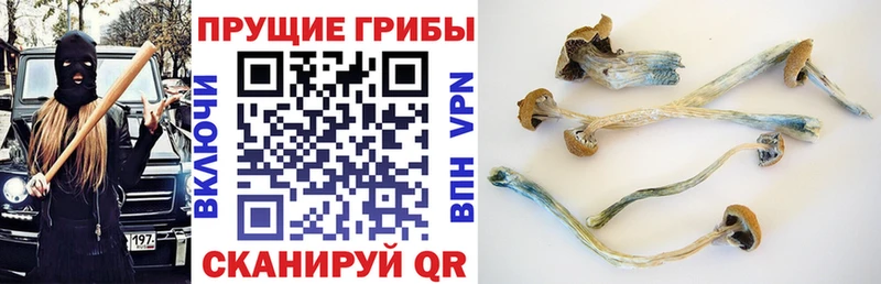 Псилоцибиновые грибы ЛСД Иваново
