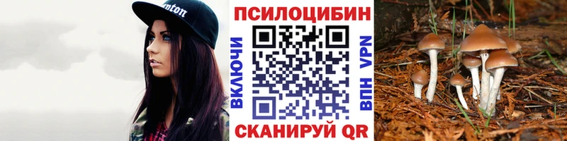 купить   Иваново  Галлюциногенные грибы мухоморы 